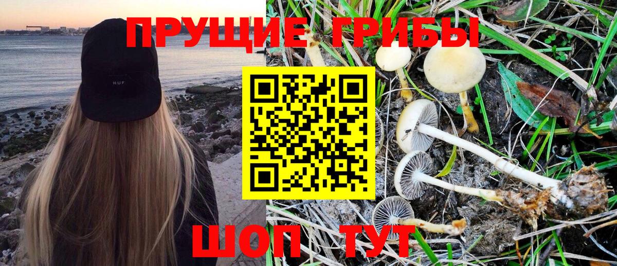 Псилоцибиновые грибы MAGIC MUSHROOMS Кызыл